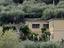 Immagine 18