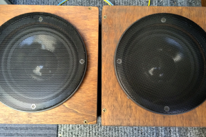 Casse auto woofer 50w 16,5 cm