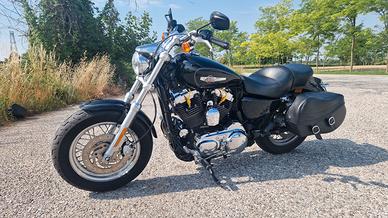 Harley Davidson Sportster 1200C del 2011 