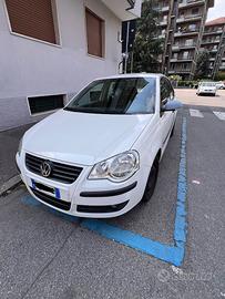 Polo auto