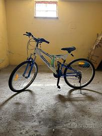 bicicletta