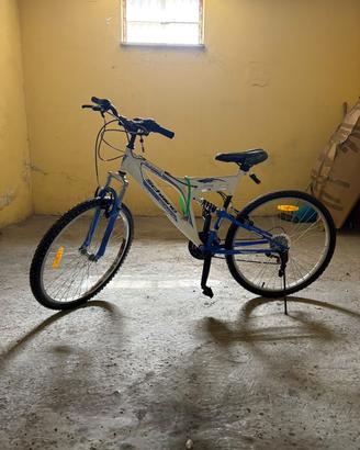bicicletta