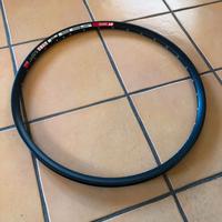 Cerchio DT Swiss 533D