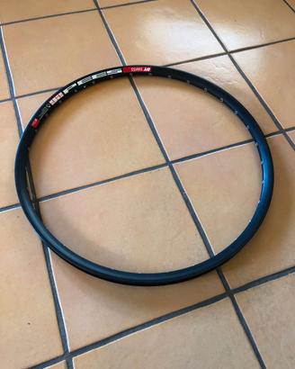 Cerchio DT Swiss 533D