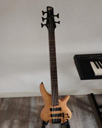 Ibanez Sr 605