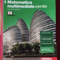 Matematica multimediale verde 2ed. - vol. 1