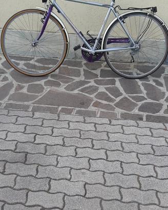 Bicicletta City Bike Willer da uomo