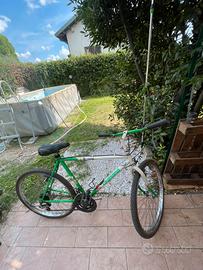 LEGNANO COLORADO