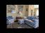 Immagine 14