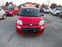 fiat-panda-1-0-firefly-hybrid-km31391