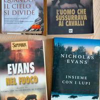 Nicholas Evans libri 