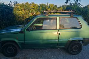 Panda young 900