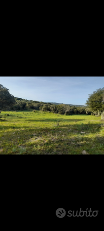 Terreno agricolo