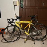 Buciclette da corsa Wilier