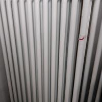 Termosifone termoarredo radiatore Zehnder