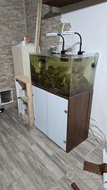 acquario marino  completo 