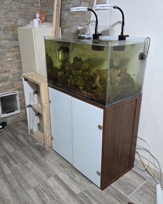 acquario marino  completo 