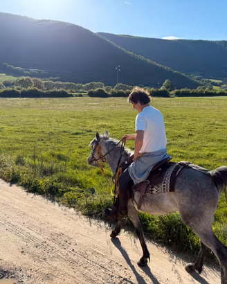Cavallo arabo