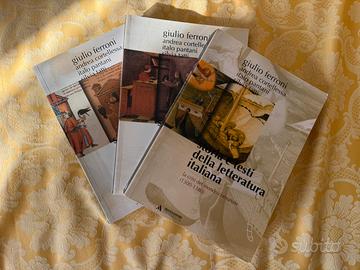 Storia e testi delle letteratura italiana