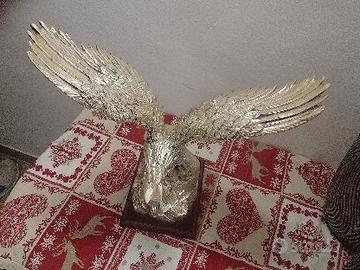 aquila in argento