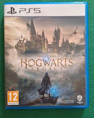 Hogwarts Legacy PS5