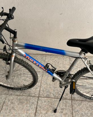 MTB Lombardo 26”