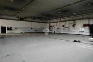 CAPANNONE A FORLÌ