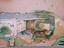 Immagine 5