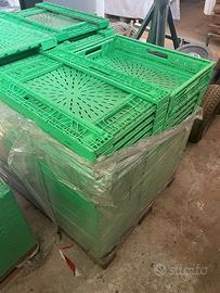 Lotto cassette per frutta in plastica pieghevoli –