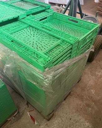 Lotto cassette per frutta in plastica pieghevoli –