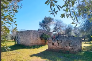 terreno con lamia in agro di San Vito dei 