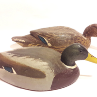 Stampi anatre artigianali