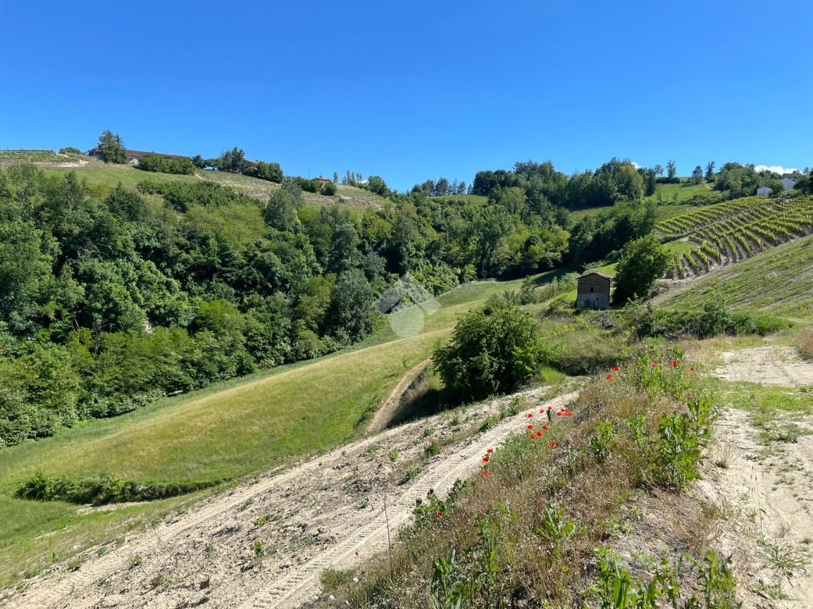 RUSTICO A CASSINASCO - Vista 4