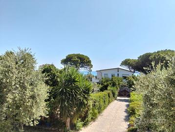 Disponibilità per le tue vacanze dal 22/08 in poi