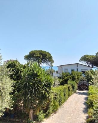 Disponibilità per le tue vacanze dal 22/08 in poi