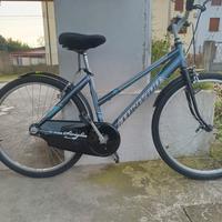 bicicletta