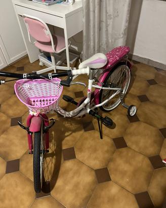 Bicicletta