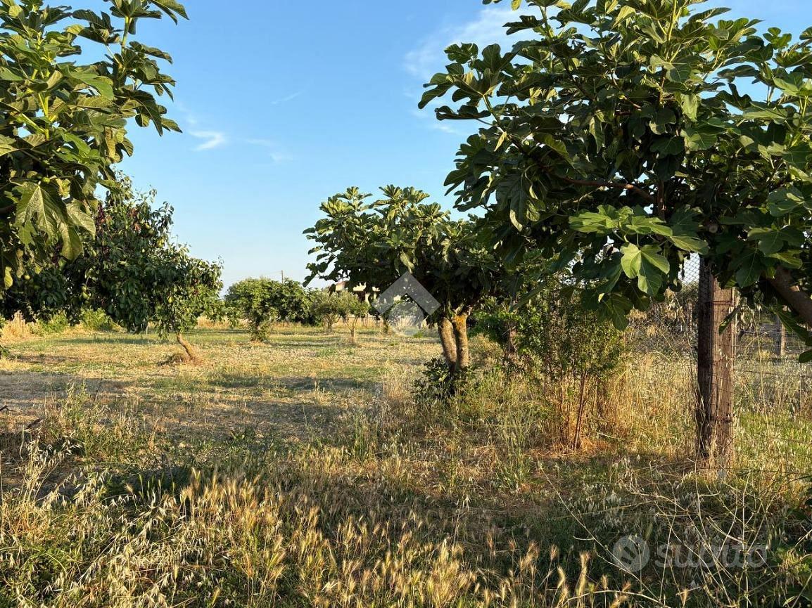 TER. RESIDENZIALE A BOTRICELLO - Vista 4