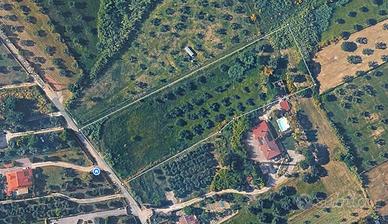 Terreno Agricolo  