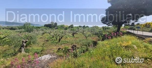 Terreno agricolo 3.200mq zona doc a castiglione - Vista 2