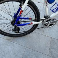 Mountain bike