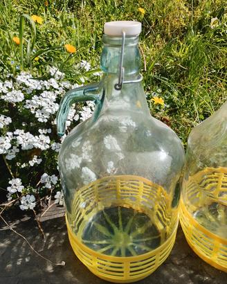 damigiane 5l olio vino