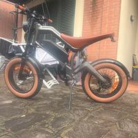 E bike
