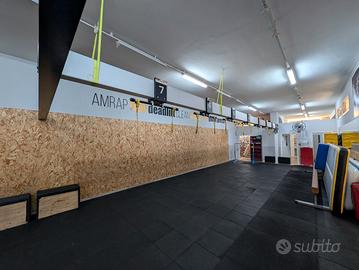 queenax trx