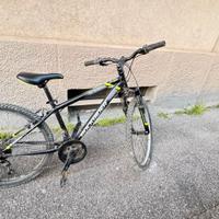 Bicicletta 24