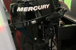 Mercury 8hp - gambo lungo