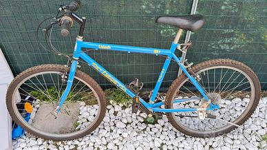 bicicletta da uomo