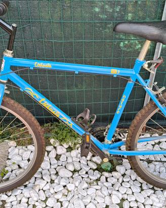 bicicletta da uomo
