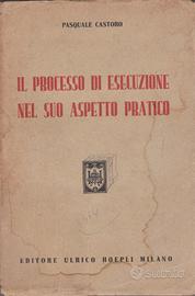 Castoro Il processo di esecuzione nel suo aspetto