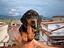 Immagine 1